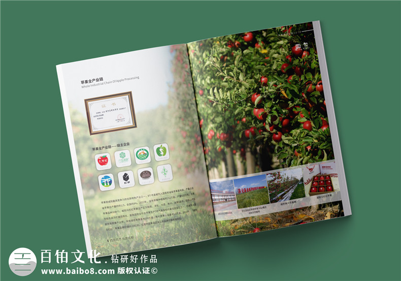 農(nóng)業(yè)食品畫冊設計-綠色健康的畫冊設計方案第2張-宣傳畫冊,紀念冊設計制作-價格費用,文案模板,印刷裝訂,尺寸大小
