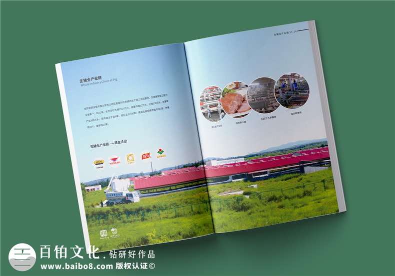 農(nóng)業(yè)食品畫冊設計-綠色健康的畫冊設計方案第3張-宣傳畫冊,紀念冊設計制作-價格費用,文案模板,印刷裝訂,尺寸大小