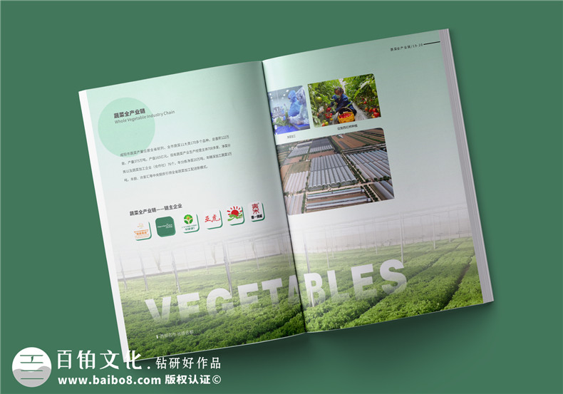 農(nóng)業(yè)畫冊(cè)設(shè)計(jì)-農(nóng)業(yè)公司農(nóng)產(chǎn)品宣傳冊(cè)怎么做