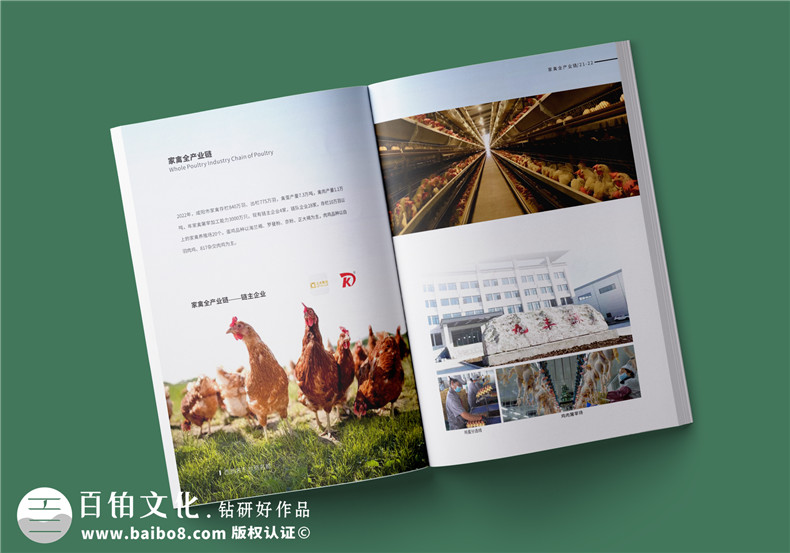 農(nóng)業(yè)畫冊(cè)設(shè)計(jì)-農(nóng)業(yè)公司農(nóng)產(chǎn)品宣傳冊(cè)怎么做