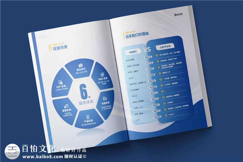 電商平臺簡介宣傳冊設計-校服電商采購平臺畫冊