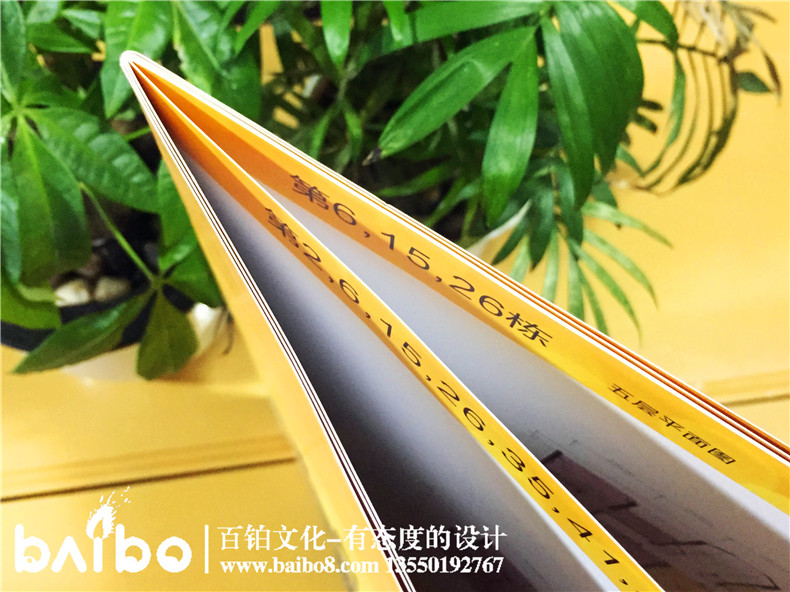 樓書(shū)設(shè)計(jì)-樓房平面展示宣傳畫(huà)冊(cè)
