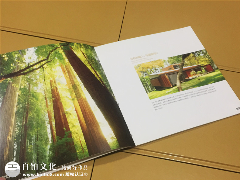 辰銘·柏易生態(tài)木業(yè)產(chǎn)品宣傳畫(huà)冊(cè)-公司畫(huà)冊(cè)制作