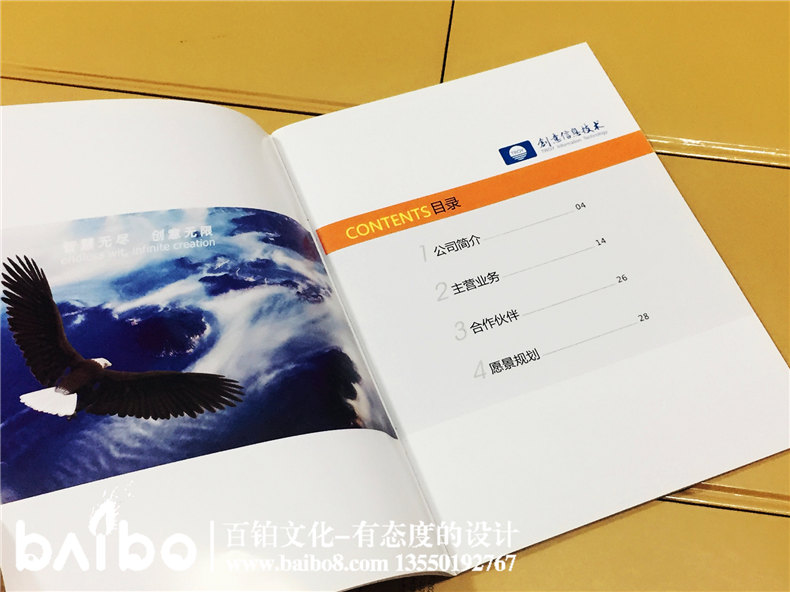 高新信息技術(shù)企業(yè)宣傳畫(huà)冊(cè)設(shè)計(jì)制作-公司畫(huà)冊(cè)印刷