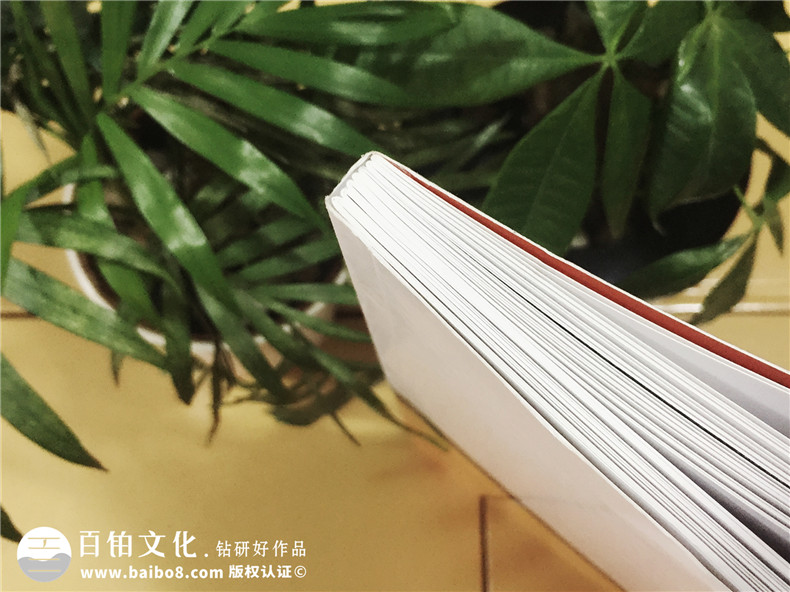 陶格個性定制藝術(shù)背景墻-產(chǎn)品宣傳畫冊設(shè)計