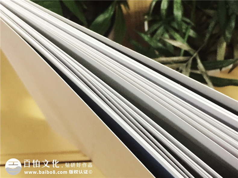 愛(ài)戀名品家私沙發(fā)產(chǎn)品宣傳畫(huà)冊(cè)設(shè)計(jì)-家具畫(huà)冊(cè)制