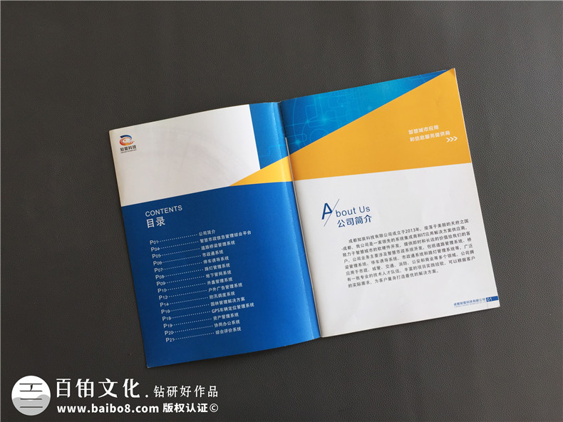 軟件操作系統(tǒng)公司宣傳畫冊制作-企業(yè)宣傳冊設(shè)計