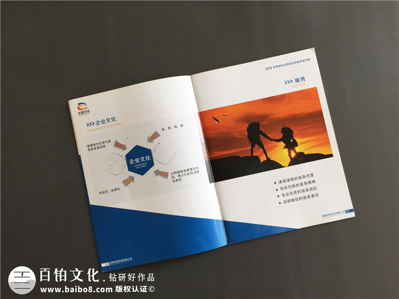 軟件操作系統(tǒng)公司宣傳畫冊制作-企業(yè)宣傳冊設(shè)計