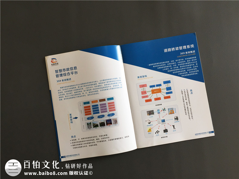 軟件操作系統(tǒng)公司宣傳畫冊制作-企業(yè)宣傳冊設(shè)計