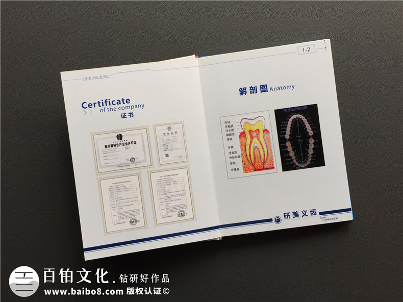 加工生產(chǎn)義齒的廠家宣傳手冊定制-企業(yè)畫冊設(shè)計(jì)