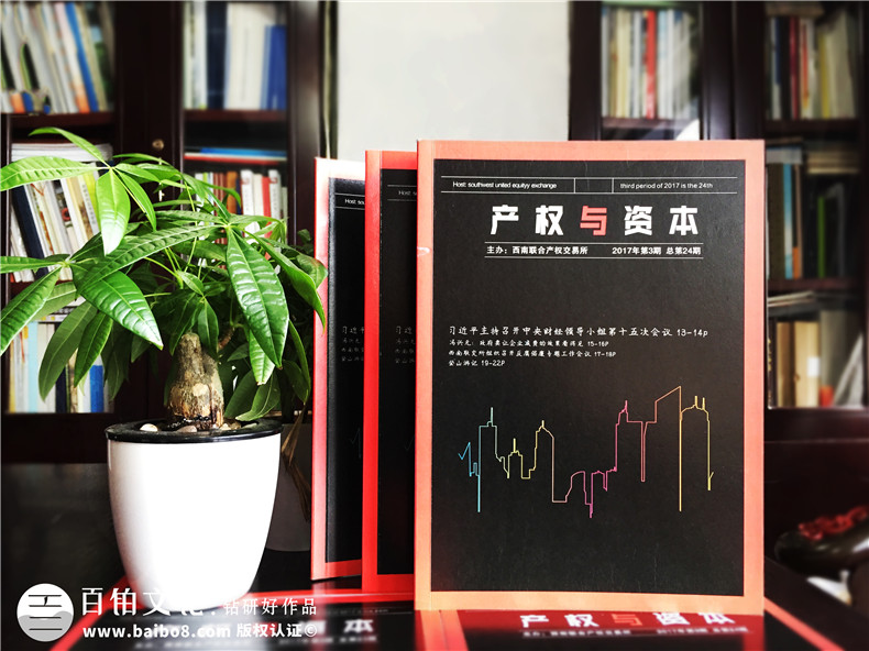 《產(chǎn)權(quán)與資本》企業(yè)內(nèi)刊設(shè)計(jì)-公司形象畫冊(cè)