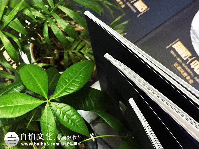 通風(fēng)節(jié)能電扇產(chǎn)品宣傳冊(cè)設(shè)計(jì)-工業(yè)科技制作公司樣本畫冊(cè)如何制作?