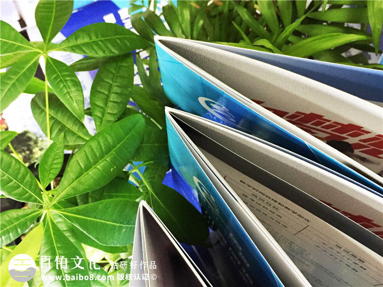 學(xué)校招生簡章宣傳冊設(shè)計(jì)-畫冊設(shè)計(jì)制作