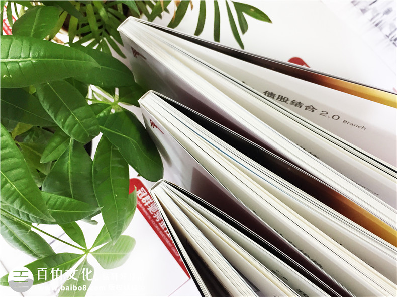 金融控股企業(yè)宣傳冊(cè)設(shè)計(jì)-資本管理公司畫冊(cè)制作-投資機(jī)構(gòu)宣傳冊(cè)