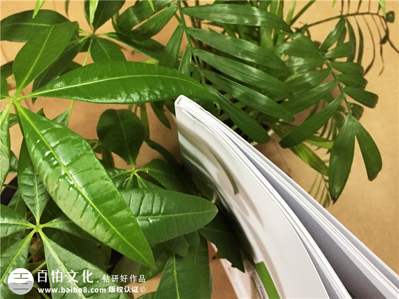 醫(yī)院宣傳冊設計-醫(yī)療器械畫冊制作