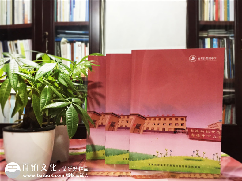 教育培訓機構宣傳冊設計-學校畫冊制作