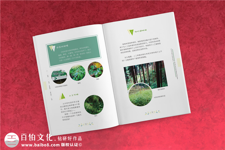 旅游宣傳手冊設(shè)計 旅游景點景區(qū)宣傳冊設(shè)計有哪些誤區(qū)？