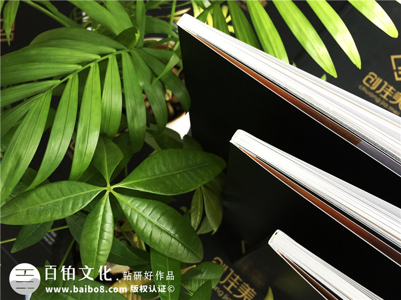 鋁合金門窗廠家做宣傳畫冊-業(yè)務(wù)產(chǎn)品介紹宣傳冊怎么設(shè)計(jì)