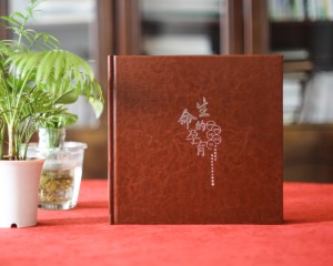 給即將退休的黨委書(shū)記干部做電子相冊(cè)-如何給領(lǐng)導(dǎo)做工作歷程集錦?