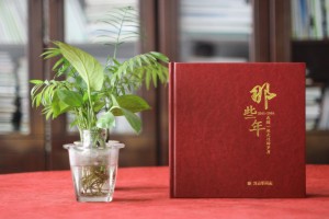 領(lǐng)導(dǎo)新晉升職的工作回憶紀(jì)念畫(huà)冊(cè)怎么設(shè)計(jì)