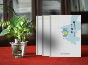 制作紀(jì)念抗疫英雄的相冊(cè)-送支援醫(yī)療隊(duì)平安歸來(lái)個(gè)人或愛(ài)人疫情影集