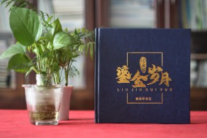 法院領(lǐng)導(dǎo)調(diào)離紀(jì)念冊設(shè)計-檢察院紀(jì)委書記在職期間工作業(yè)績回顧畫冊