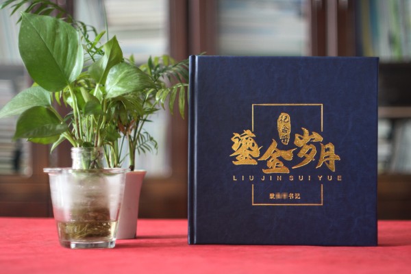 法院領(lǐng)導(dǎo)調(diào)離紀(jì)念冊設(shè)計-檢察院紀(jì)委書記在職期間工作業(yè)績回顧畫冊