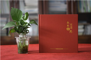 電力公司領(lǐng)導(dǎo)升職個人事件畫冊-電力領(lǐng)導(dǎo)調(diào)離編撰成績紀(jì)念相冊