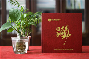 老領(lǐng)導(dǎo)工作的地方個(gè)人工作紀(jì)實(shí)畫冊(cè)設(shè)計(jì)-制作企業(yè)領(lǐng)導(dǎo)相冊(cè)集錦