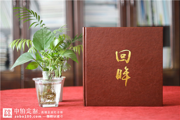 縣長(zhǎng)離任后影集-縣委副書記離別工作紀(jì)實(shí)畫冊(cè)