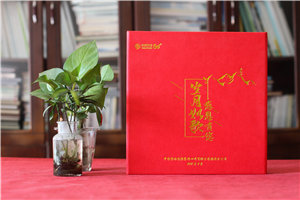 領(lǐng)導(dǎo)調(diào)走了贈送感謝相冊-工作紀(jì)念冊回憶過往再會