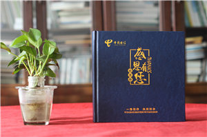 工作畫冊(cè)怎么做-中國(guó)電信領(lǐng)導(dǎo)更換部門相冊(cè)
