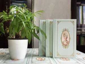 親子相冊-寶貝成長記錄冊-歐美風(fēng)情英文小書