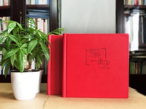 結(jié)婚周年紀(jì)念冊(cè)定制-相愛(ài)二十年相冊(cè)