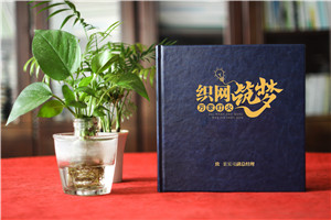 電網(wǎng)領導工作記錄相冊設計樣冊-南方電網(wǎng)紀念冊