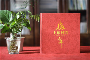 珍藏記憶，感恩同行——鎮(zhèn)領(lǐng)導(dǎo)調(diào)任紀(jì)念冊