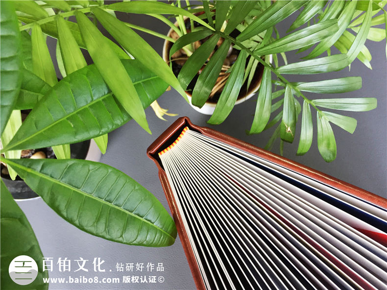 想做一本高檔相冊(cè),是水晶相冊(cè)好,還是皮面相冊(cè)好
