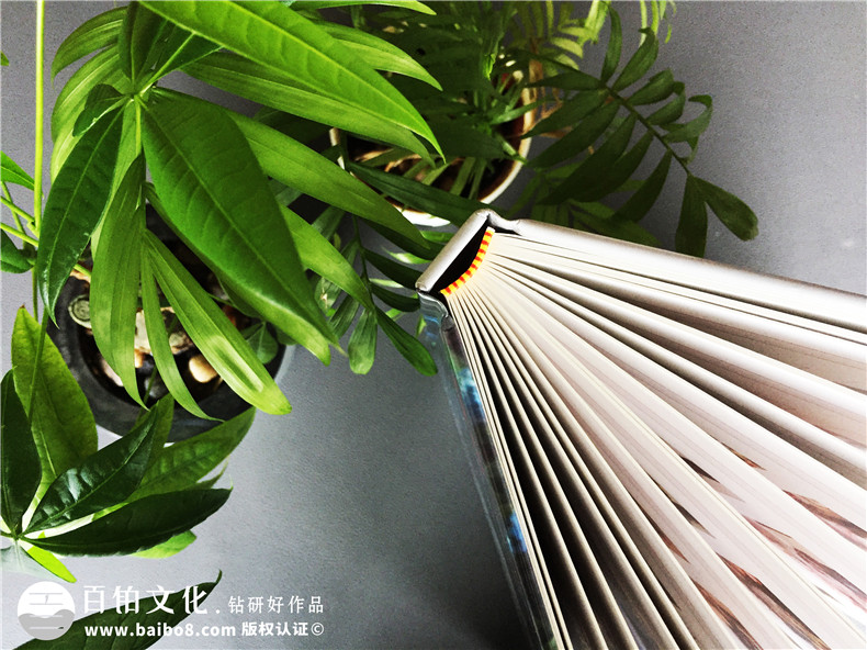 結(jié)婚紀念冊-家庭相冊制作-全家福紀念冊定制-家庭聚會影集