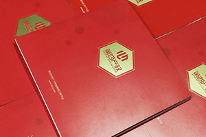 金融公司畫(huà)冊(cè)設(shè)計(jì) 金融行業(yè)宣傳冊(cè)設(shè)計(jì)要怎么做才好呢？