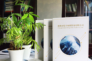 企業(yè)畫冊設(shè)計(jì)方法分享 專業(yè)的畫冊設(shè)計(jì)公司致力于提升企業(yè)品牌！