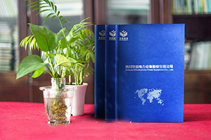 企業(yè)產品畫冊設計方法總結 專業(yè)畫冊設計的要點！