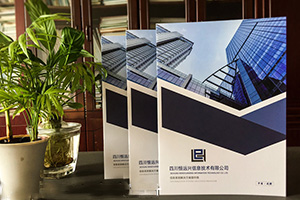 欣賞企業(yè)畫冊設(shè)計案例 分析專業(yè)的畫冊設(shè)計方法有哪些技巧？
