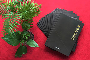 成都畫冊設(shè)計公司 具有專業(yè)的畫冊創(chuàng)意設(shè)計方向！