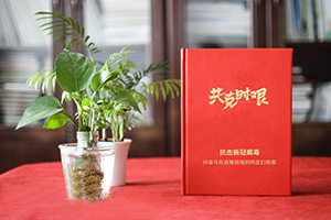 疫情紀(jì)念冊(cè) 為疫情后的醫(yī)療隊(duì)志愿者制作紀(jì)念冊(cè) 紀(jì)念不平凡！