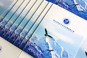 企業(yè)畫冊設(shè)計思路、理念有哪些重要的設(shè)計原則？