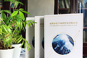 企業(yè)宣傳冊設(shè)計怎么做 除了新穎大氣的設(shè)計風(fēng)格還有哪些設(shè)計方法？