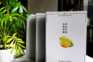 水果店鋪宣傳冊設(shè)計(jì)的必備技巧 讓水果說話的制作方法