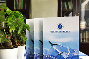 企業(yè)宣傳冊設(shè)計的兩大設(shè)計方向 找到企業(yè)宣傳冊設(shè)計的正確方法！