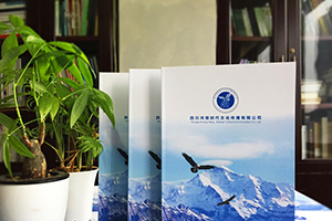企業(yè)畫冊(cè)策劃與設(shè)計(jì) 企業(yè)畫冊(cè)策劃公司必須重視畫冊(cè)設(shè)計(jì)的力量！