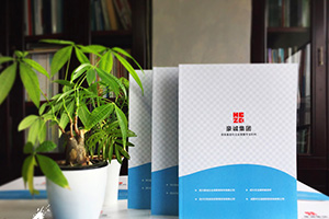 企業(yè)畫冊設(shè)計(jì)怎么做？畫冊制作的通用方法思考